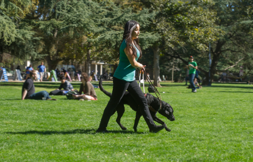 Student with service dog