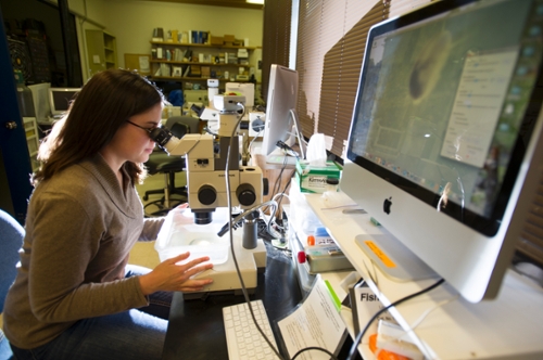 Researcher in an on campus lab