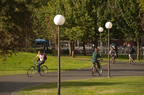 Students biking around campus